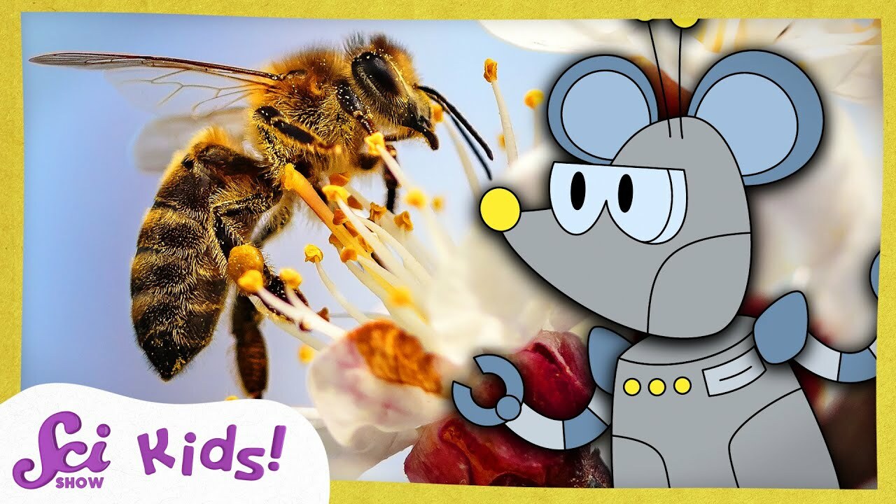How Do Bees Make Honey? | The Science of Food! | SciShow Kids